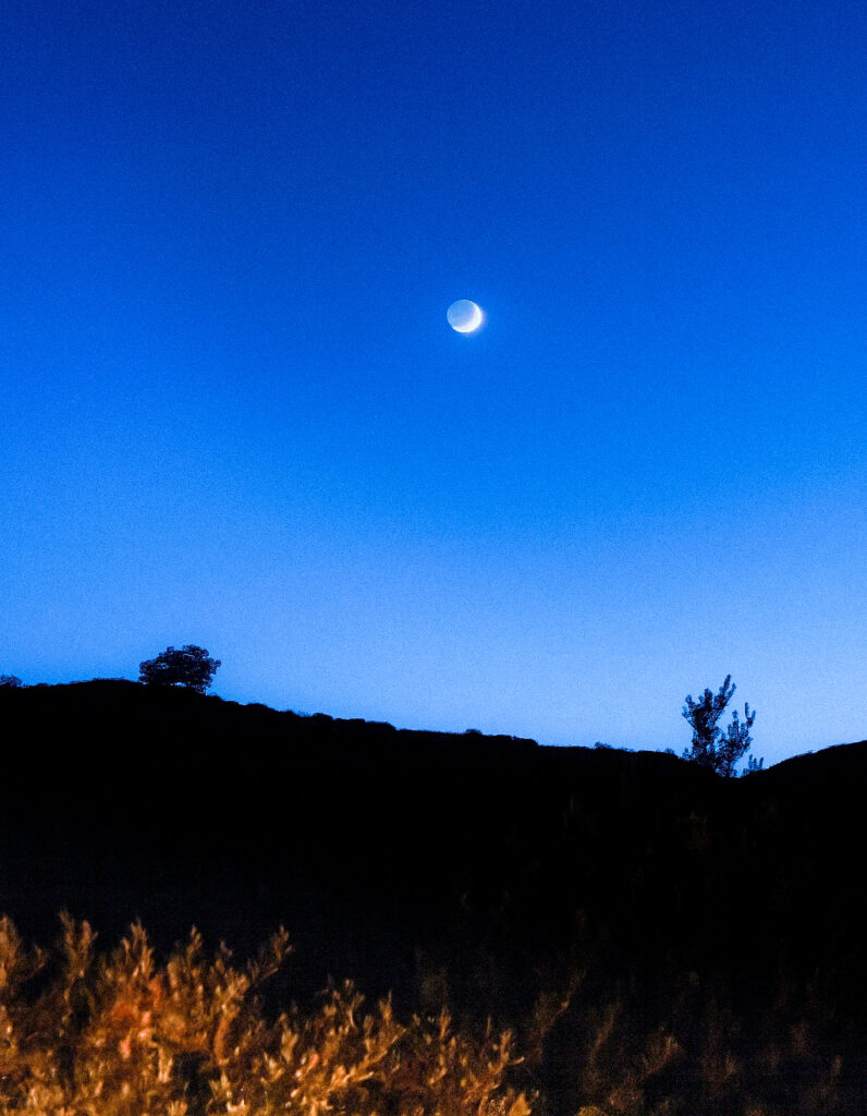 dda108de 5647 4665 9912 2fe850b0461e